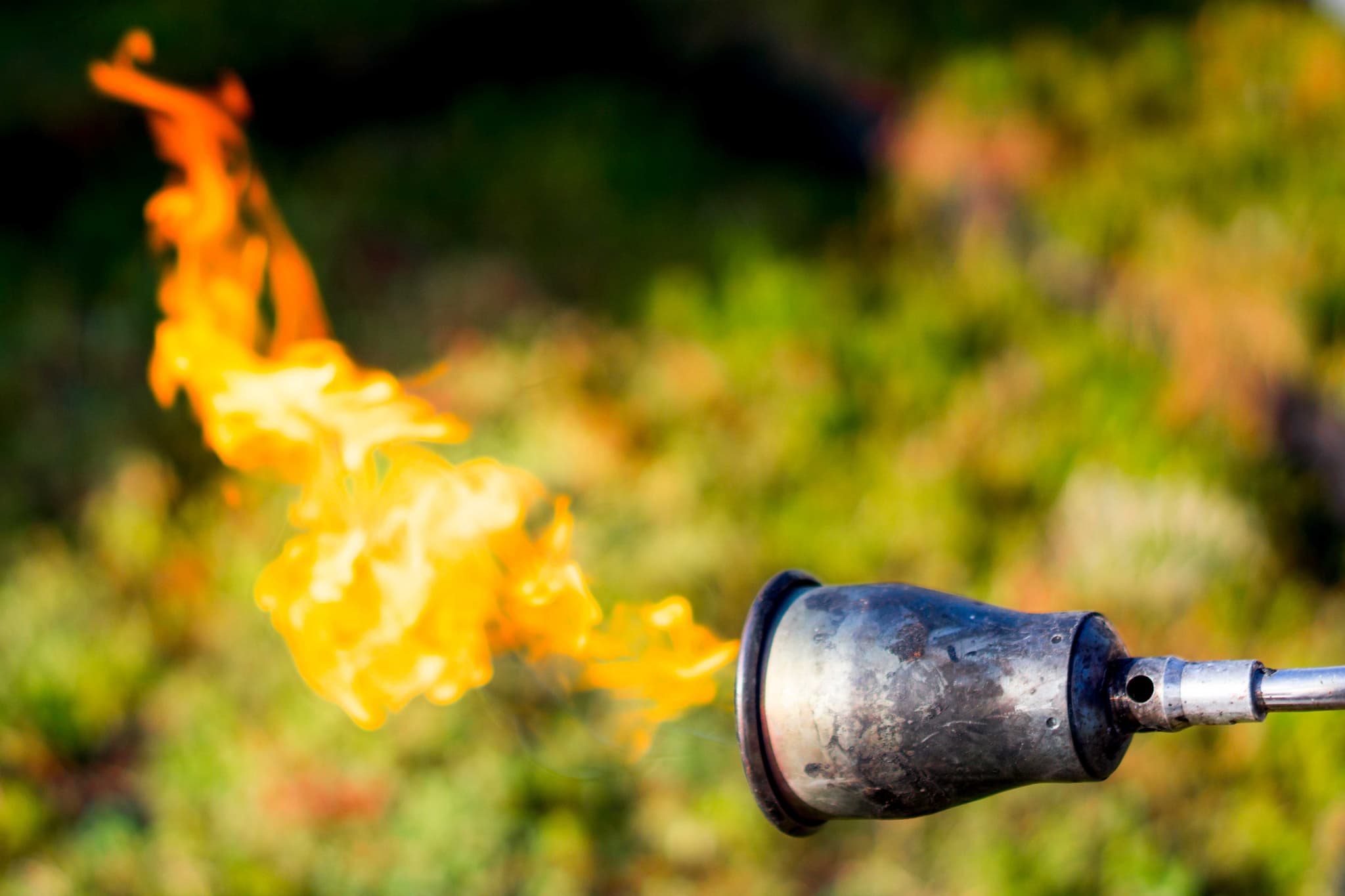 Travaux d'étanchéité de toiture